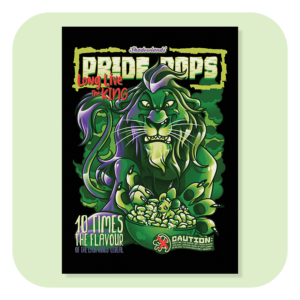 Pride Pops A4 Print