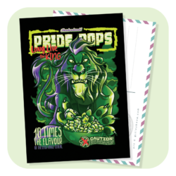 Pride Pops Postcard